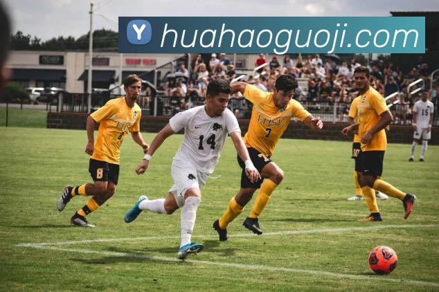 多媒体互动体验